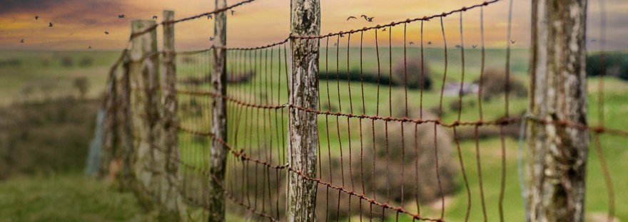 Hotdip Galvanized BRC Cattle Mesh BP WIJAYA TRADING SDN BHD Pengilang BRC Mesh Kuantan Terengganu Sabah Sarawak Malaysia Mengeluar Jaring Dawai dan Aksesori di Malaysia