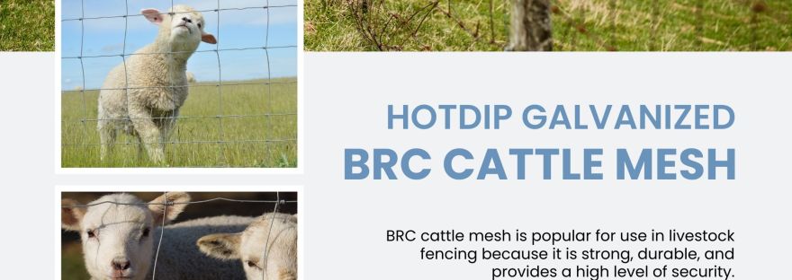 BRC Cattle Mesh Malaysia BP WIJAYA TRADING SDN BHD BRC Mesh Manufacturer Malaysia We Are A Malaysian Manufacturer of BRC mesh and accessories