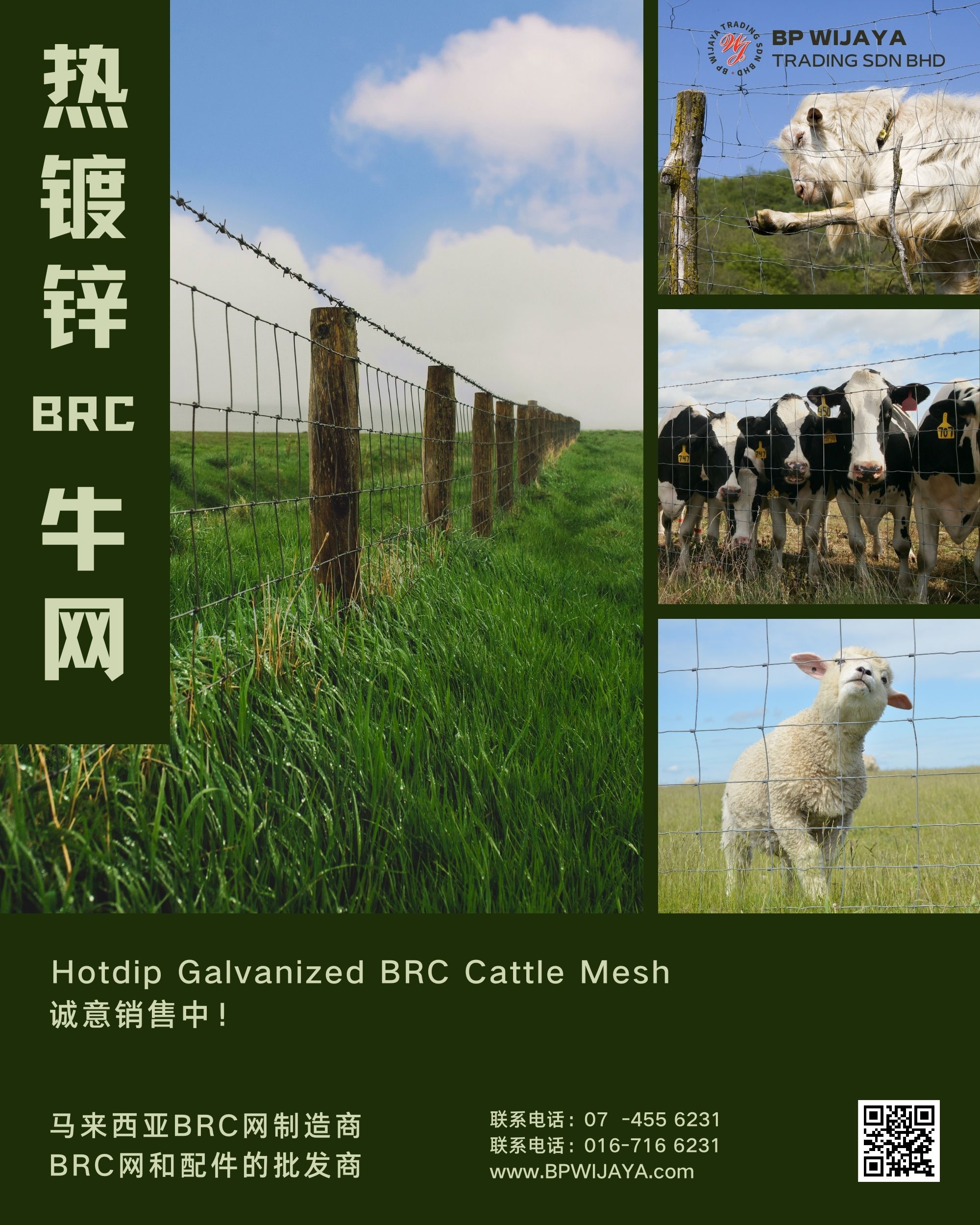 热镀锌 BRC 牛网 Hotdip Galvanized BRC Cattle Mesh - BP Wijaya Trading Sdn Bhd 马来西亚BRC网制造商 - BRC网和配件的批发商