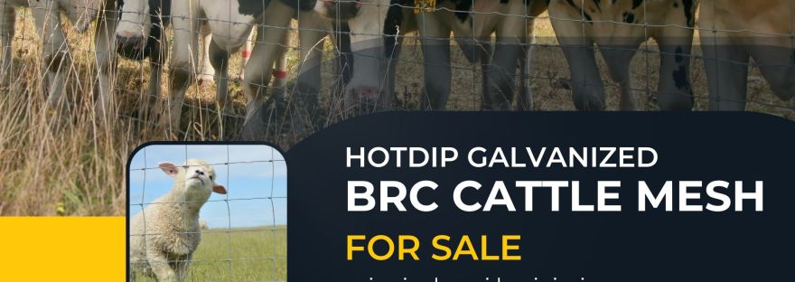 Hot-dip Galvanized BRC Cattle Mesh Pengilang BRC Mesh Kuala Lumpur Selangor BP WIJAYA TRADING SDN BHD Pengilang BRC Mesh Malaysia Mengeluar Jaring Dawai dan Aksesori
