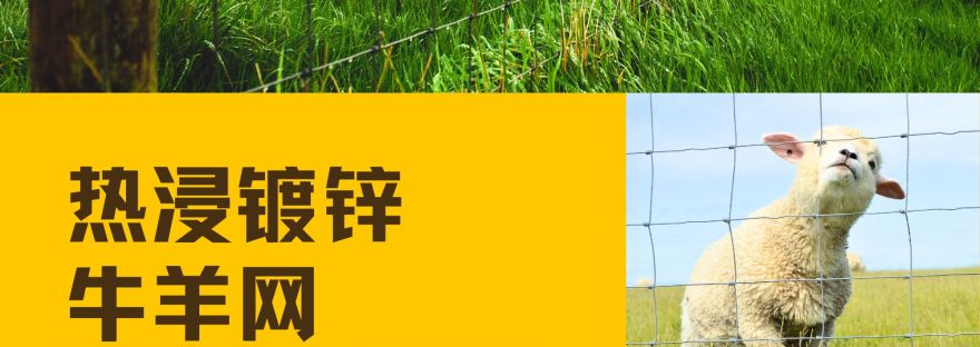 热浸镀锌牛羊网 Hotdip Galvanized BRC Cattle Mesh BP Wijaya Trading Sdn Bhd 马来西亚BRC网制造商 - 吉隆坡BRC网和配件的批发商 家居与商业建筑材料