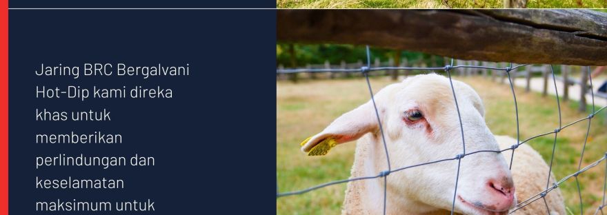 Jaring BRC Bergalvani Hot-Dip Hotdip Galvanized BRC Cattle Mesh BP WIJAYA TRADING SDN BHD BRC MESH Manufacturer Malaysia