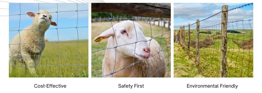 Hotdip Galvanized BRC Cattle Mesh Malaysia - BP Wijaya Trading Sdn Bhd Wire Mesh Manufacturer Malaysia