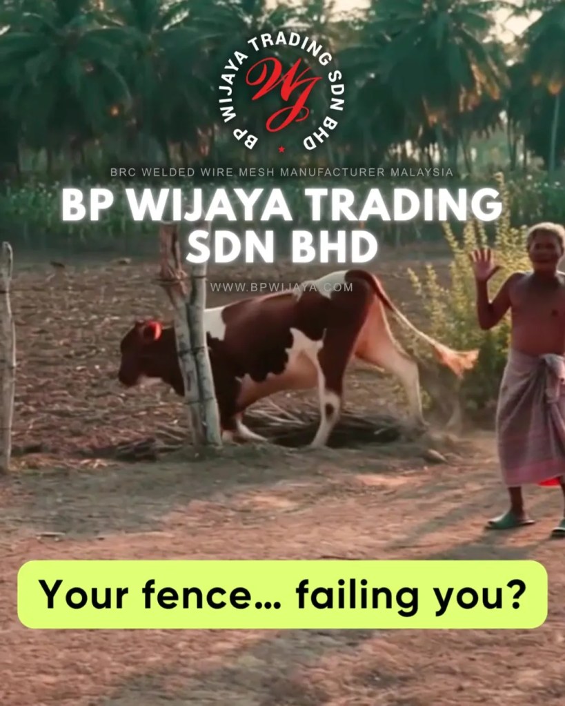 BRC Cattle Mesh Malaysia - Durable Livestock Fencing and Farm Fence Supplier Malaysia - BP Wijaya Trading Sdn Bhd BRC Welded Wire Mesh Manufacturer Malaysia 02