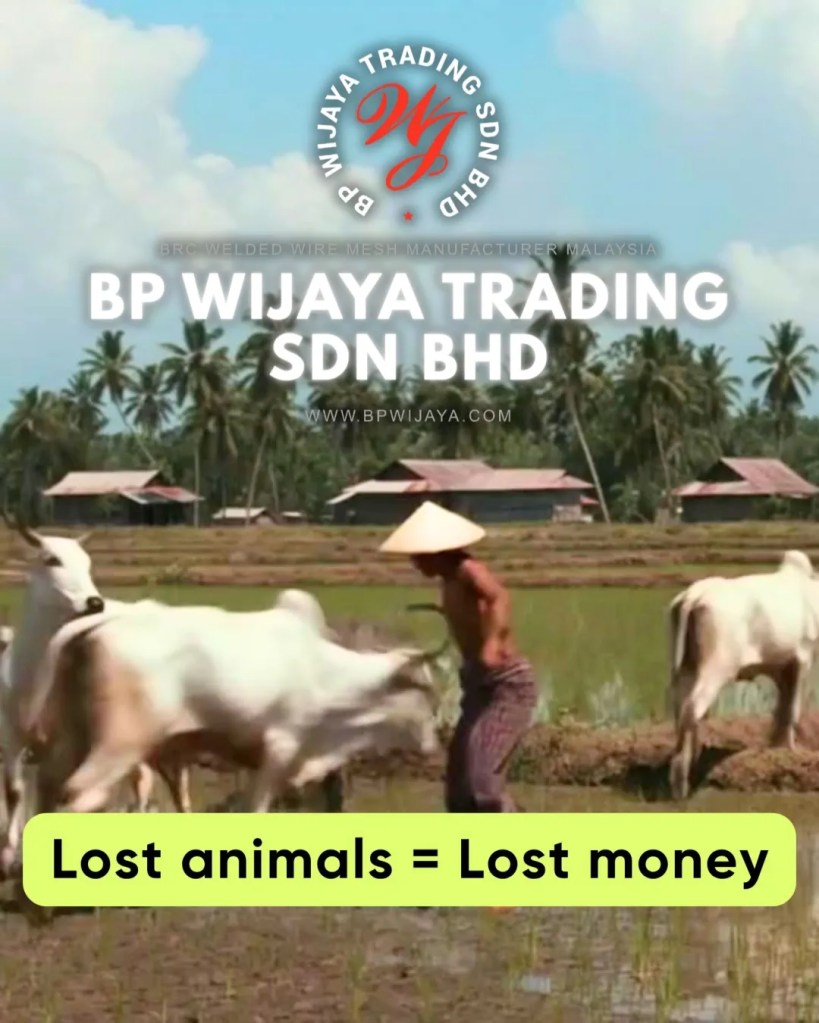 BRC Cattle Mesh Malaysia - Durable Livestock Fencing and Farm Fence Supplier Malaysia - BP Wijaya Trading Sdn Bhd BRC Welded Wire Mesh Manufacturer Malaysia 04