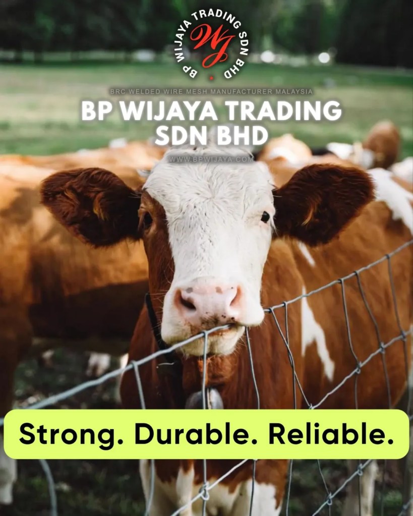 BRC Cattle Mesh Malaysia - Durable Livestock Fencing and Farm Fence Supplier Malaysia - BP Wijaya Trading Sdn Bhd BRC Welded Wire Mesh Manufacturer Malaysia 06