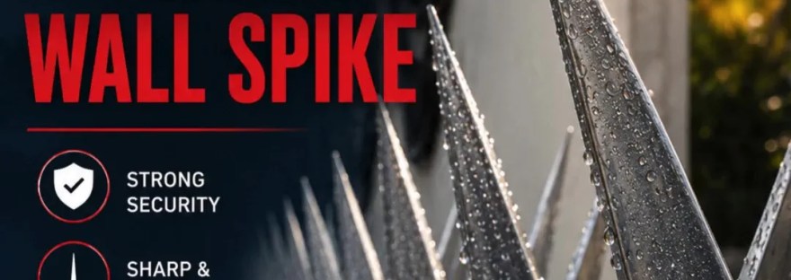 Galvanized Wall Spike Malaysia - Fence Thorn Nail and Gate Thorn Nail for Commercial and Industrial and Residential Security - BP Wijaya Trading Sdn Bhd A01