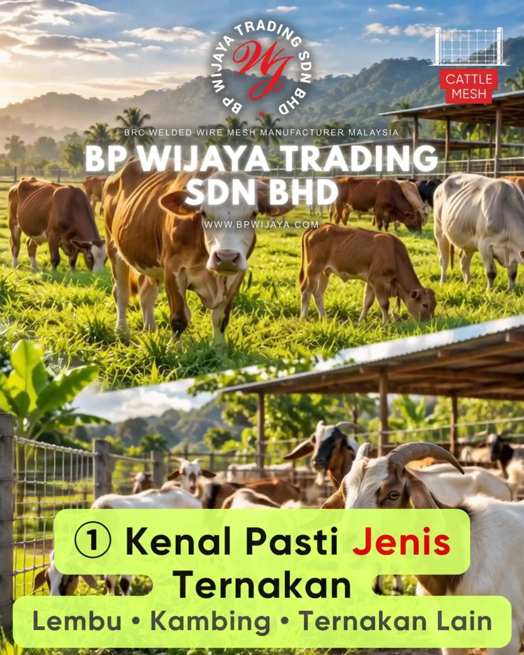 Cara Memilih Cattle Mesh untuk Ladang Ternakan di Johor - Cattle Mesh Malaysia - BP Wijaya Trading Sdn Bhd B05