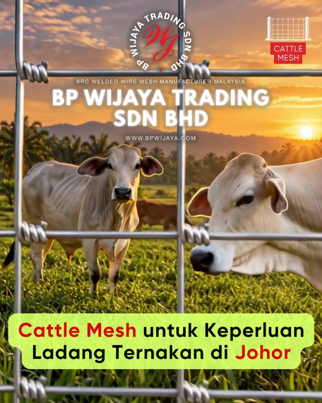 Cara Memilih Cattle Mesh untuk Ladang Ternakan di Johor - Cattle Mesh Malaysia - BP Wijaya Trading Sdn Bhd B15